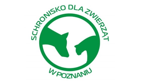 Dzieci z naszej świetlicy wspomogły schronisko dla zwierząt w Poznaniu